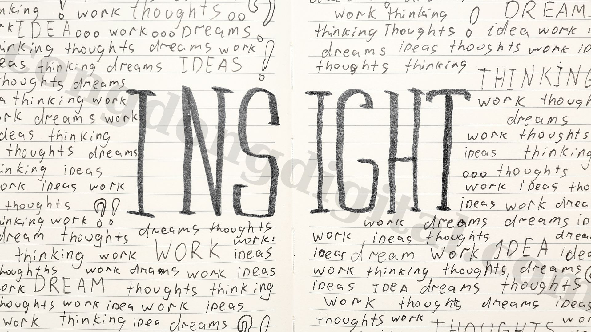 tim-insight-khach-hang.jpg